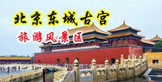 欧美逼逼操中国北京-东城古宫旅游风景区